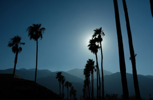 14 THE SURF SHOP OF STEPHANE 관련 제품과 분위기를 보여주는 브랜드 포스트용 라이프스타일 사진입니다.