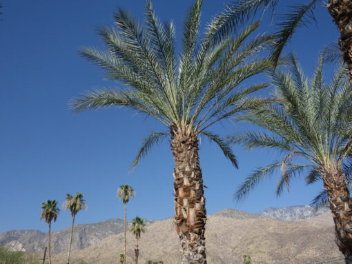 여행 중 도로와 주변 풍경이 담긴 사진으로 로드트립의 분위기를 전하는 이미지입니다.