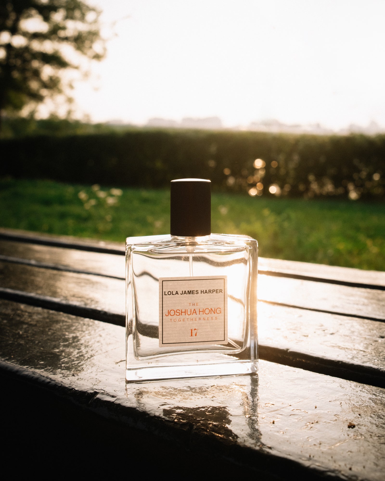 콜라보레이션 이미지 2