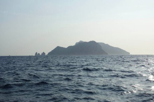 블로그 헤더용으로 사용된 '새로운 지평선' 테마의 썸네일 이미지.