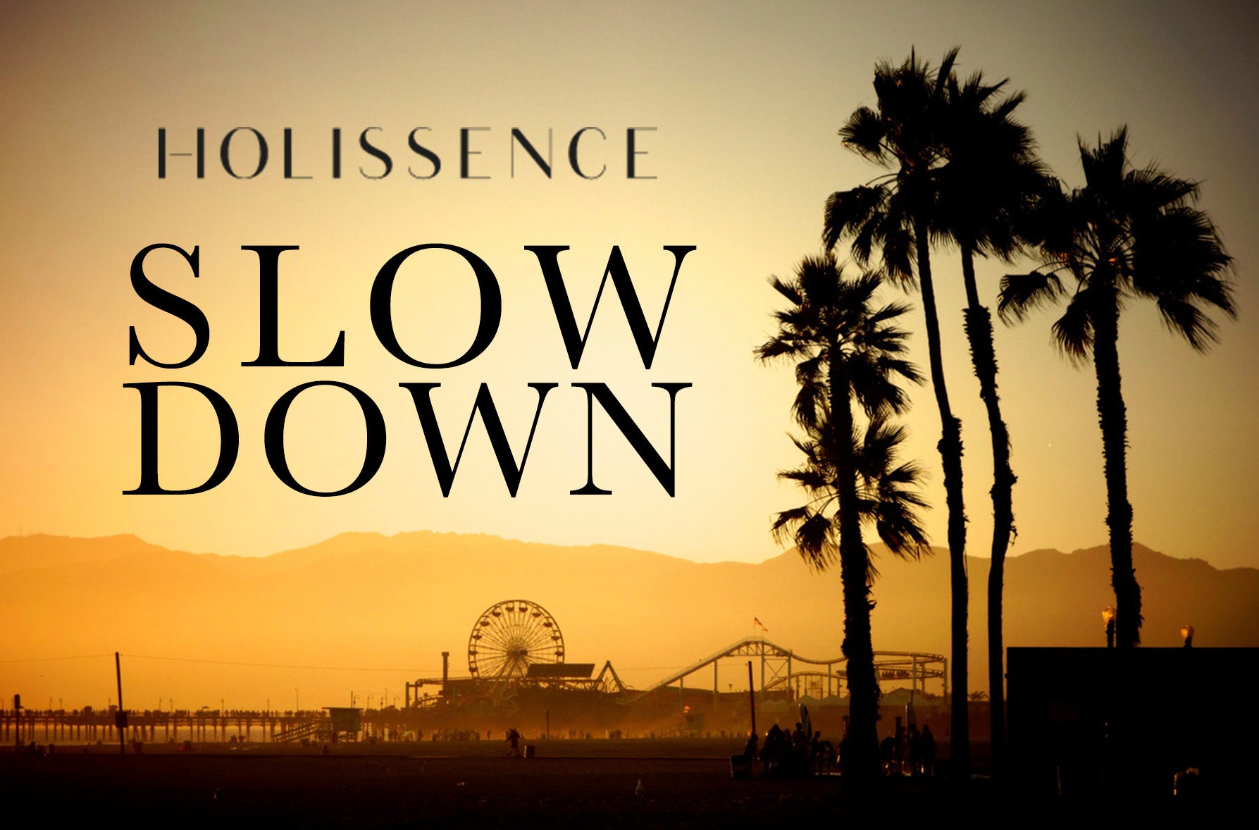 THE VIRTUE OF SLOWNESS