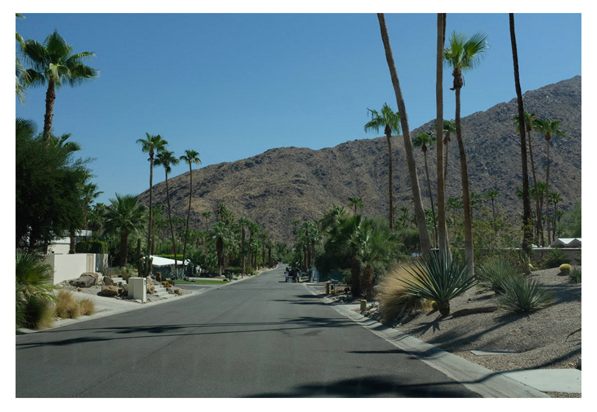 lola james harper rami mekdachi interview2