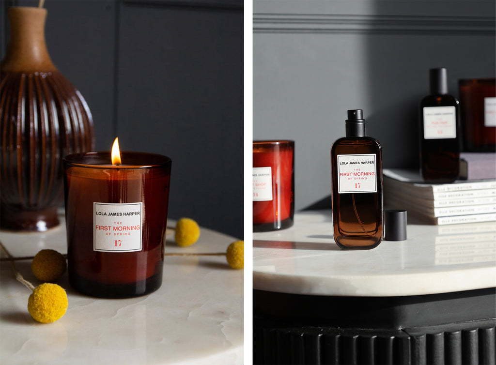 Rockett St George x Lola James Harper